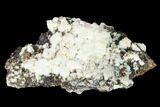 Aurichalcite and Calcite Association - Utah #146192-1